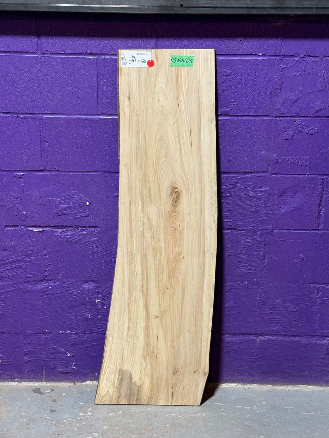 05NOV06 SIBERIAN ELM LIVE EDGE SLAB
