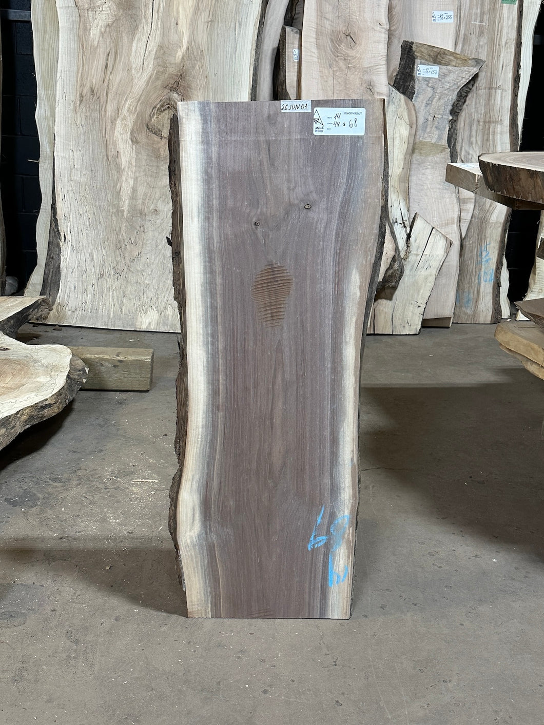 26JUN01 BLACK WALNUT LIVE EDGE SLAB