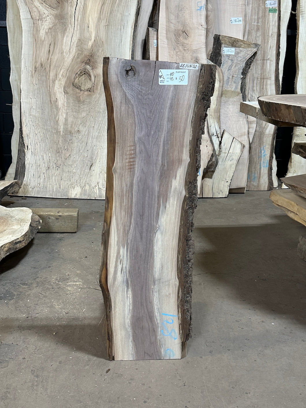 26JUN02 BLACK WALNUT LIVE EDGE SLAB