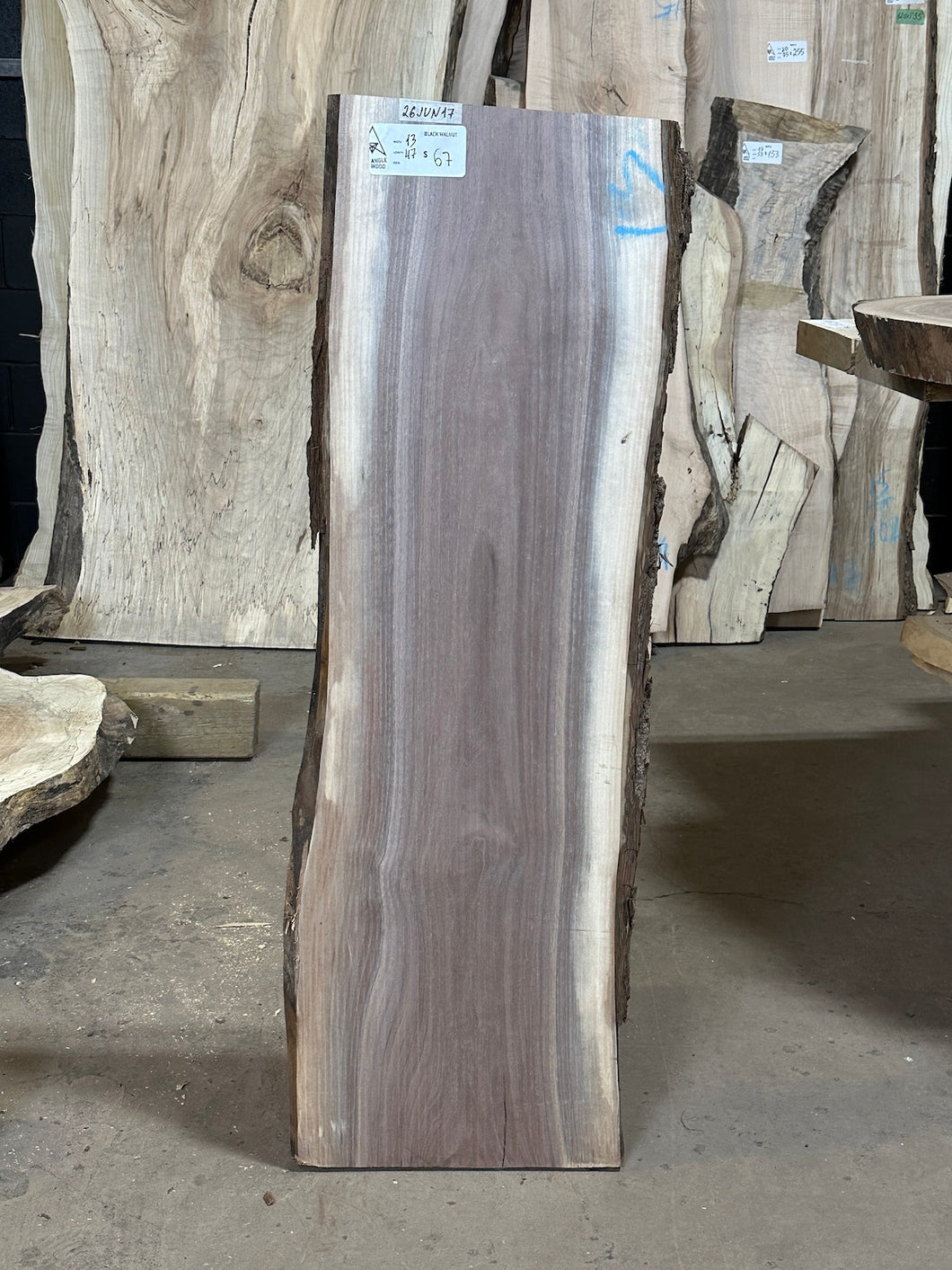 26JUN17 BLACK WALNUT LIVE EDGE SLAB