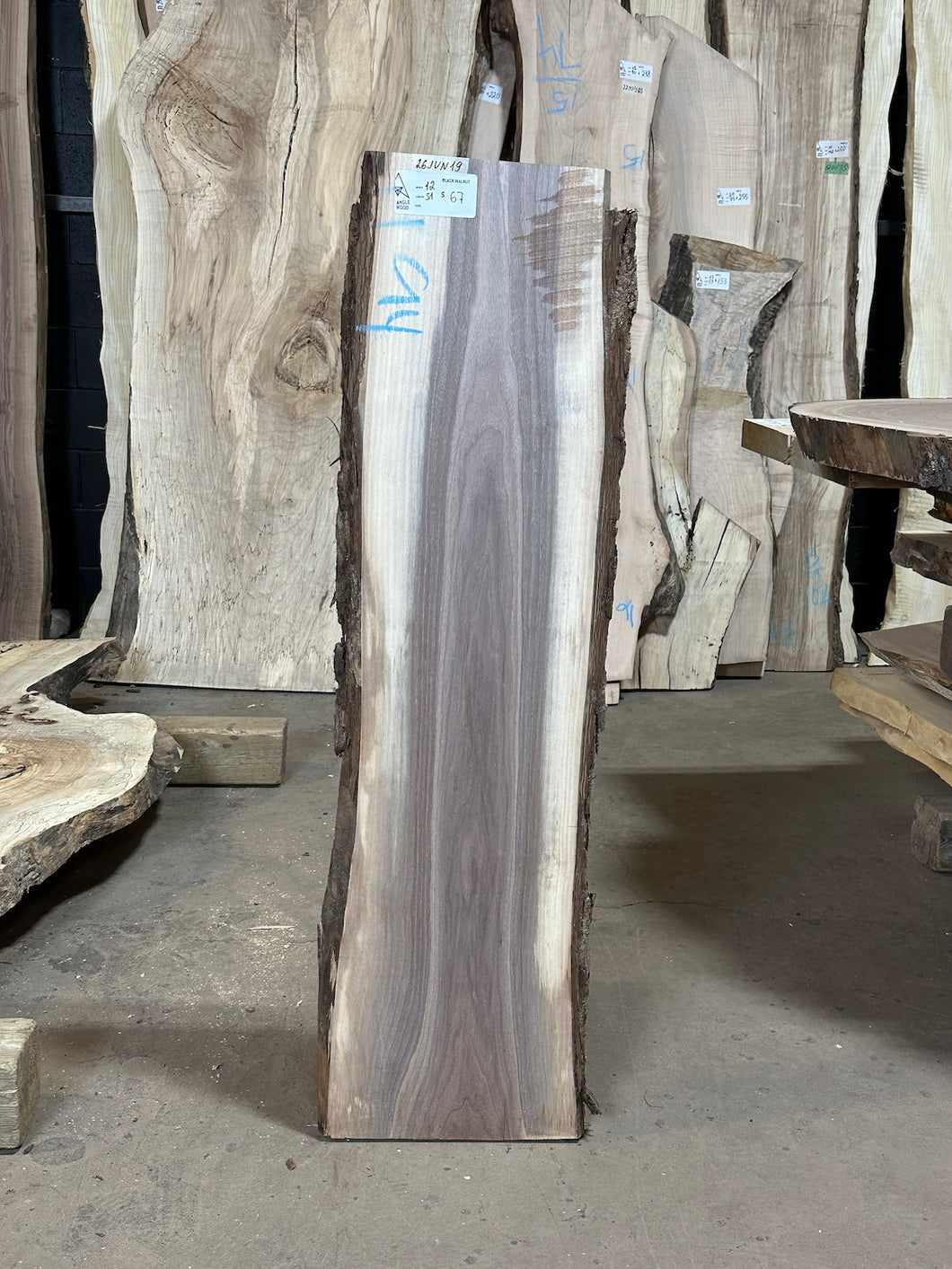 26JUN19 BLACK WALNUT LIVE EDGE SLAB