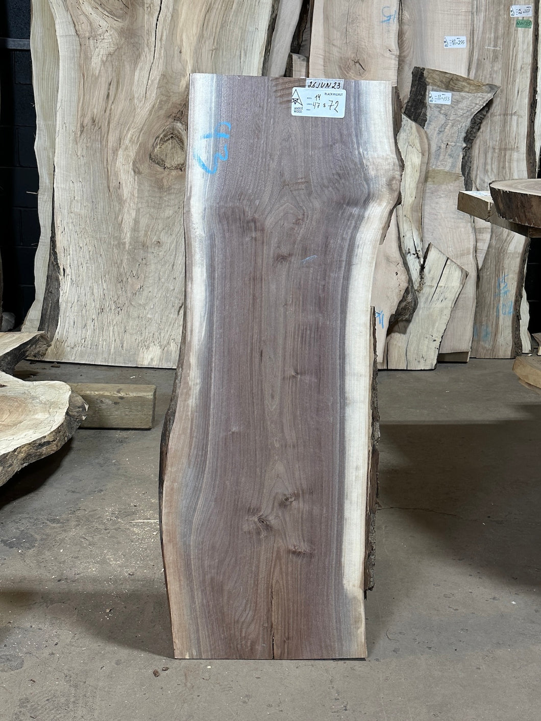 26JUN23 BLACK WALNUT LIVE EDGE SLAB