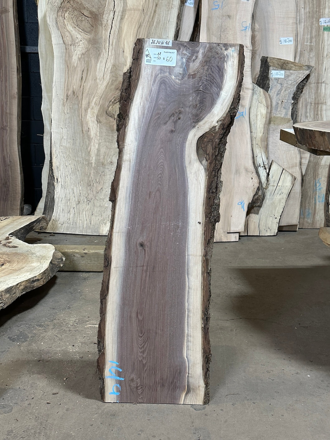 26JUN46 BLACK WALNUT LIVE EDGE SLAB