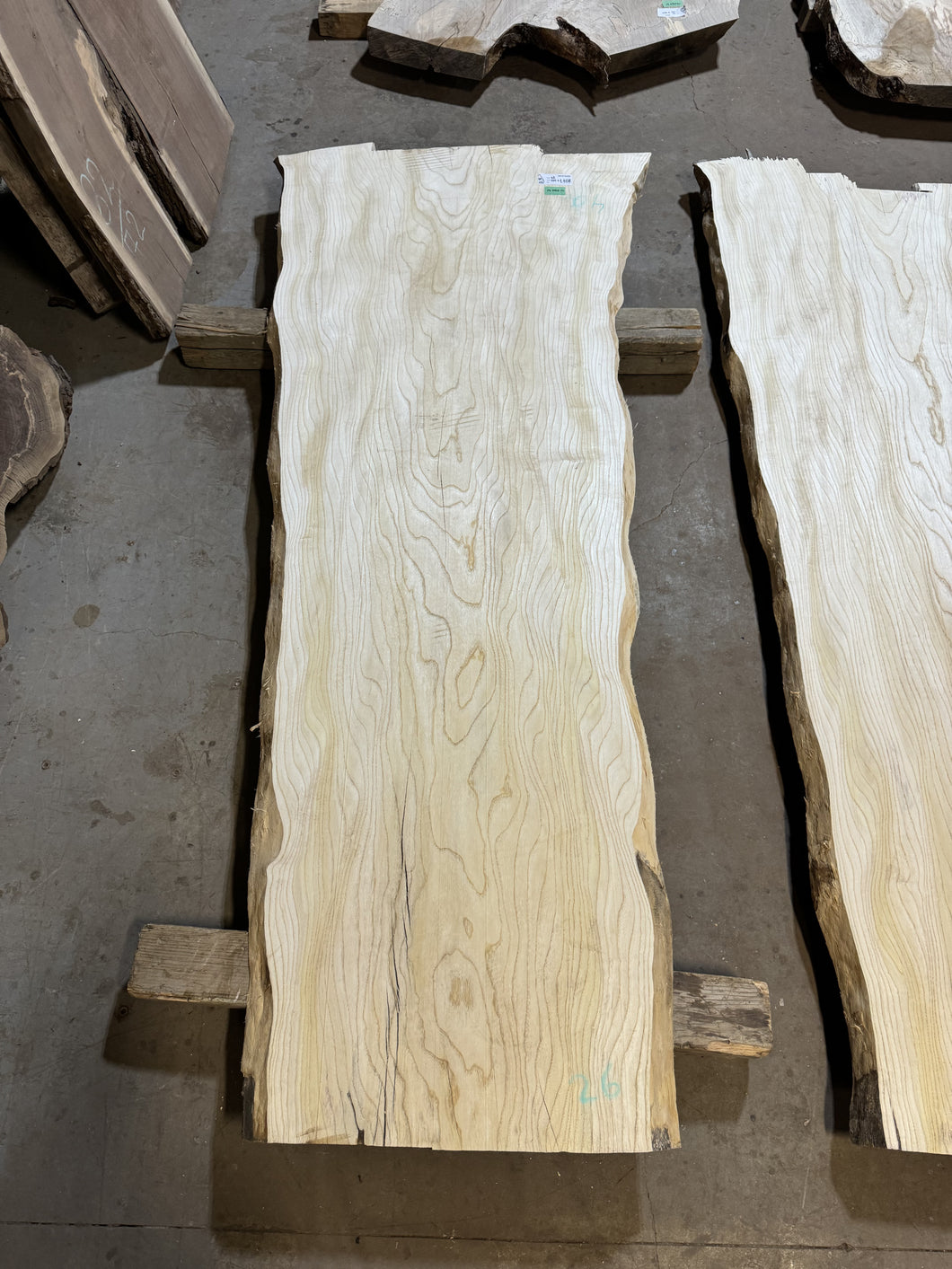 19MRCH14 - 2.3” THICK TREE OF HEAVEN LIVE EDGE